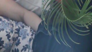 Zatovo mifoka sy mifoka - 2022-02-26 04:21:13