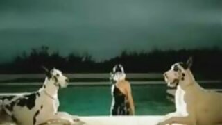 Zatovo nijaly tamin'ny fanadinana Gyno azy - 2022-02-24 16:53:26